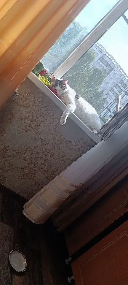 Квартира в панельном доме с изолированными комнатами. С/у раздельный и выложен кафелем,состояние отличное, окна во двор.