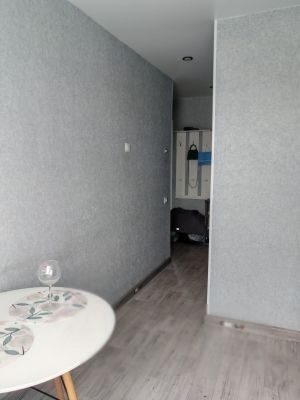 Квартира в панельном доме с изолированными комнатами. В квартире выполнен ремонт: стеклопакеты,натяжные потолки, на полу линолеум, обои, стены с/у -обои, ванной -кафель. Лоджия застеклена алюминиевой конструкцией. Удобное расположение дома вся необходимая инфраструктура рядом.